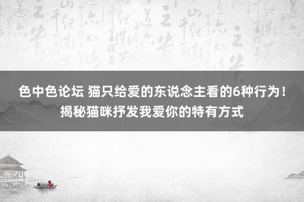 色中色论坛 猫只给爱的东说念主看的6种行为！揭秘猫咪抒发我爱你的特有方式