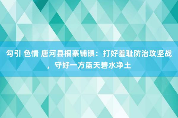 勾引 色情 唐河县桐寨铺镇：打好羞耻防治攻坚战，守好一方蓝天碧水净土