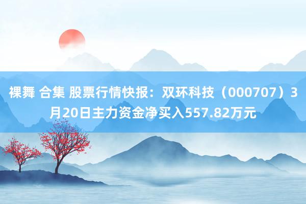 裸舞 合集 股票行情快报：双环科技（000707）3月20日主力资金净买入557.82万元
