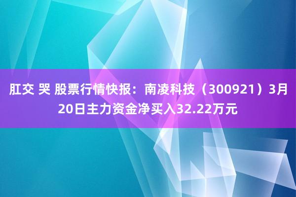 肛交 哭 股票行情快报：南凌科技（300921）3月20日主力资金净买入32.22万元