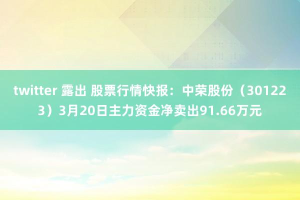 twitter 露出 股票行情快报：中荣股份（301223）3月20日主力资金净卖出91.66万元