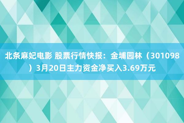 北条麻妃电影 股票行情快报：金埔园林（301098）3月20日主力资金净买入3.69万元