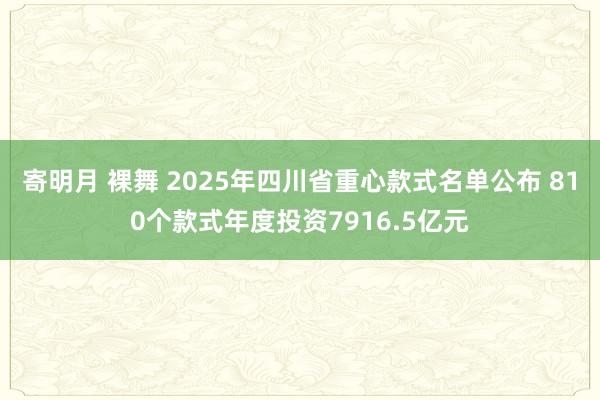 寄明月 裸舞 2025年四川省重心款式名单公布 810个款式年度投资7916.5亿元