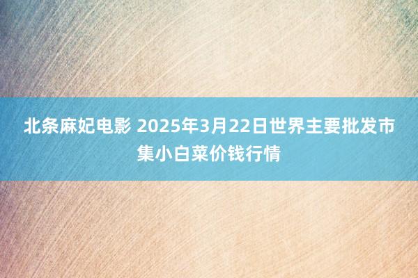 北条麻妃电影 2025年3月22日世界主要批发市集小白菜价钱行情