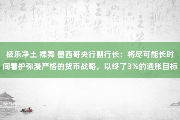 极乐净土 裸舞 墨西哥央行副行长：将尽可能长时间看护弥漫严格的货币战略，以终了3%的通胀目标