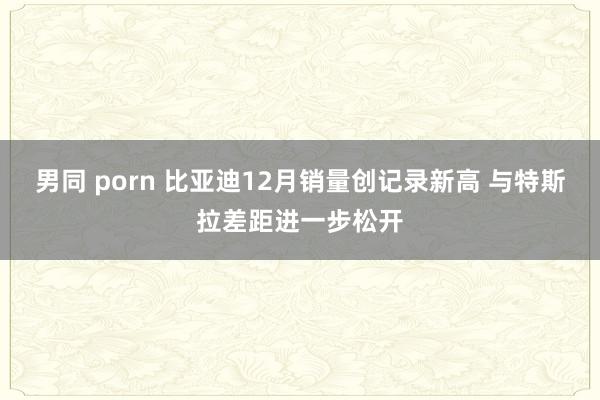 男同 porn 比亚迪12月销量创记录新高 与特斯拉差距进一步松开