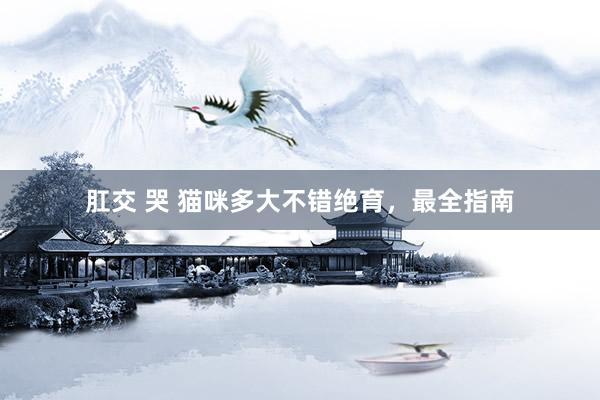 肛交 哭 猫咪多大不错绝育，最全指南