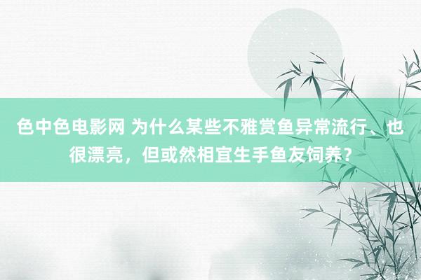 色中色电影网 为什么某些不雅赏鱼异常流行、也很漂亮，但或然相宜生手鱼友饲养？