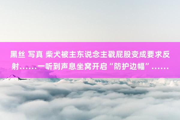 黑丝 写真 柴犬被主东说念主戳屁股变成要求反射……一听到声息坐窝开启“防护边幅”……