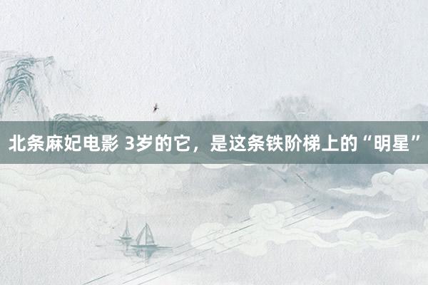 北条麻妃电影 3岁的它，是这条铁阶梯上的“明星”
