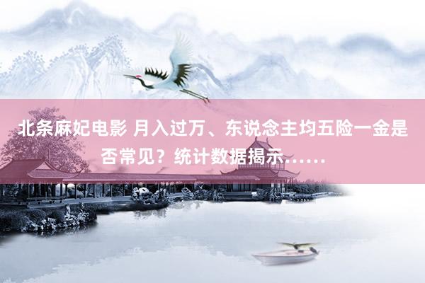 北条麻妃电影 月入过万、东说念主均五险一金是否常见？统计数据揭示……