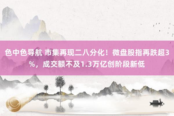 色中色导航 市集再现二八分化！微盘股指再跌超3%，成交额不及1.3万亿创阶段新低
