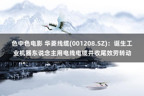 色中色电影 华菱线缆(001208.SZ)：诞生工业机器东说念主用电线电缆并收尾效劳转动