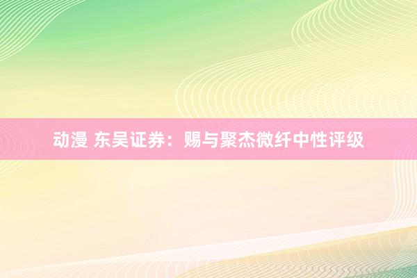 动漫 东吴证券：赐与聚杰微纤中性评级