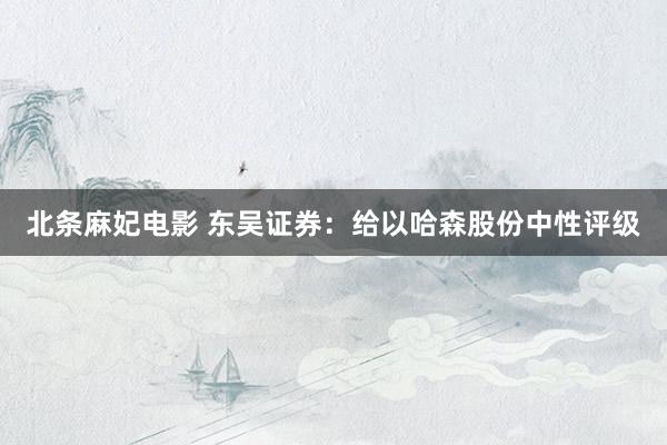 北条麻妃电影 东吴证券：给以哈森股份中性评级