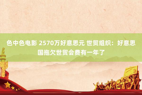 色中色电影 2570万好意思元 世贸组织：好意思国拖欠世贸会费有一年了