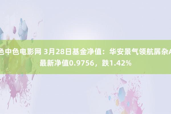 色中色电影网 3月28日基金净值：华安景气领航羼杂A最新净值0.9756，跌1.42%