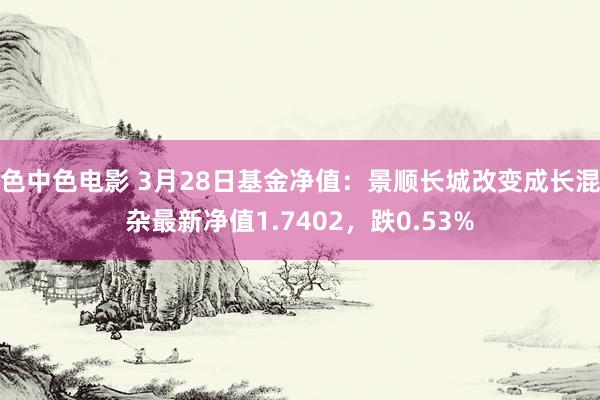 色中色电影 3月28日基金净值：景顺长城改变成长混杂最新净值1.7402，跌0.53%