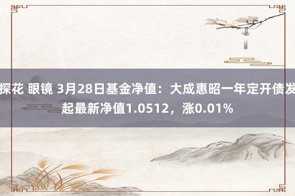 探花 眼镜 3月28日基金净值：大成惠昭一年定开债发起最新净值1.0512，涨0.01%