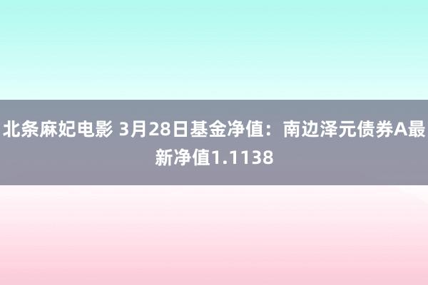 北条麻妃电影 3月28日基金净值：南边泽元债券A最新净值1.1138