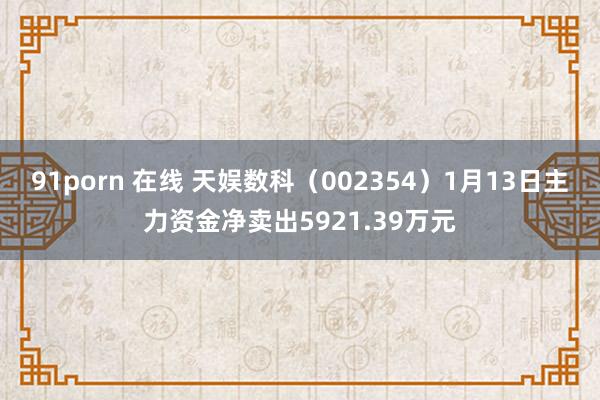 91porn 在线 天娱数科（002354）1月13日主力资金净卖出5921.39万元