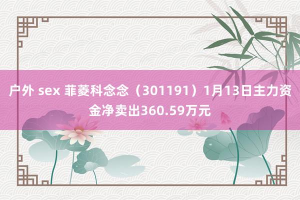 户外 sex 菲菱科念念（301191）1月13日主力资金净卖出360.59万元