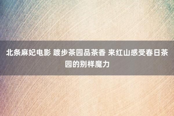 北条麻妃电影 踱步茶园品茶香 来红山感受春日茶园的别样魔力