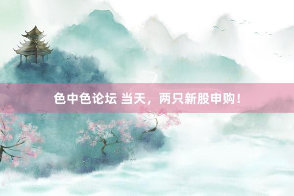 色中色论坛 当天，两只新股申购！