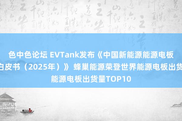 色中色论坛 EVTank发布《中国新能源能源电板行业发展白皮书（2025年）》 蜂巢能源荣登世界能源电板出货量TOP10