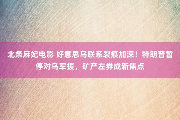 北条麻妃电影 好意思乌联系裂痕加深！特朗普暂停对乌军援，矿产左券成新焦点
