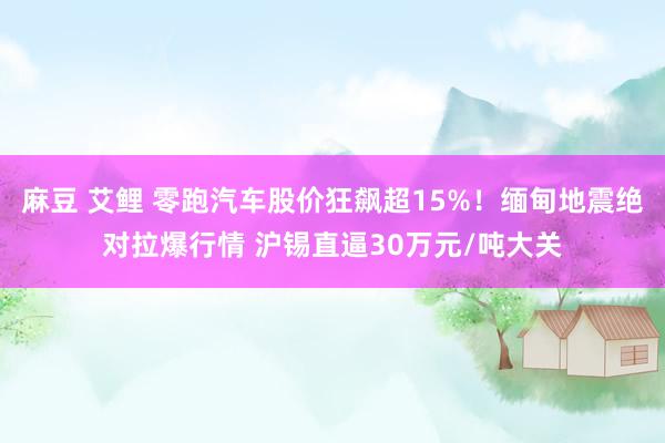 麻豆 艾鲤 零跑汽车股价狂飙超15%！缅甸地震绝对拉爆行情 沪锡直逼30万元/吨大关