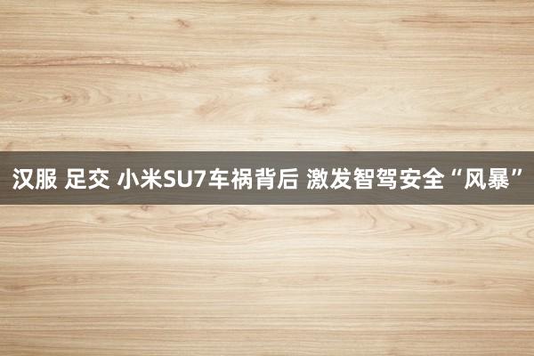 汉服 足交 小米SU7车祸背后 激发智驾安全“风暴”