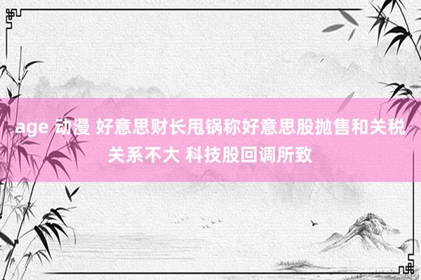 age 动漫 好意思财长甩锅称好意思股抛售和关税关系不大 科技股回调所致