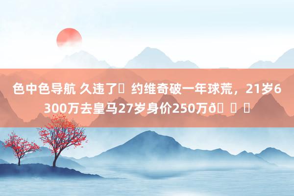 色中色导航 久违了❗约维奇破一年球荒，21岁6300万去皇马27岁身价250万😔