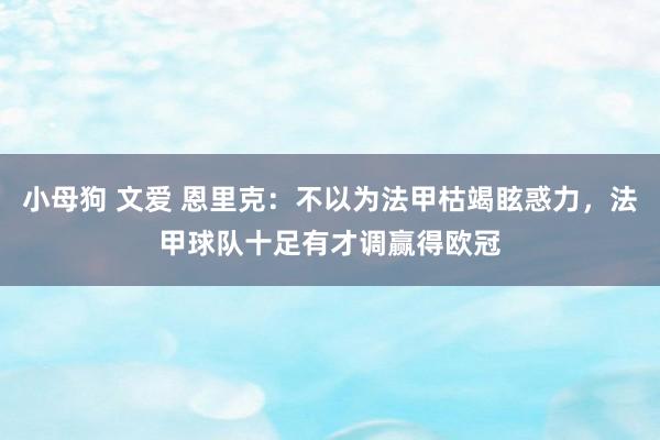 小母狗 文爱 恩里克：不以为法甲枯竭眩惑力，法甲球队十足有才调赢得欧冠