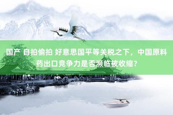国产 自拍偷拍 好意思国平等关税之下，中国原料药出口竞争力是否濒临被收缩？