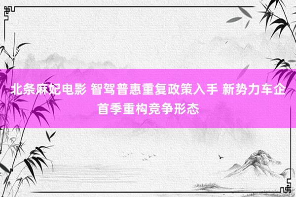北条麻妃电影 智驾普惠重复政策入手 新势力车企首季重构竞争形态