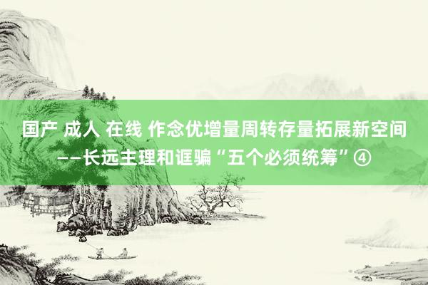 国产 成人 在线 作念优增量周转存量拓展新空间——长远主理和诓骗“五个必须统筹”④