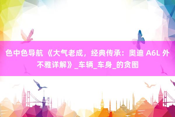 色中色导航 《大气老成，经典传承：奥迪 A6L 外不雅详解》_车辆_车身_的贪图