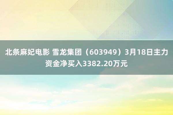 北条麻妃电影 雪龙集团（603949）3月18日主力资金净买入3382.20万元