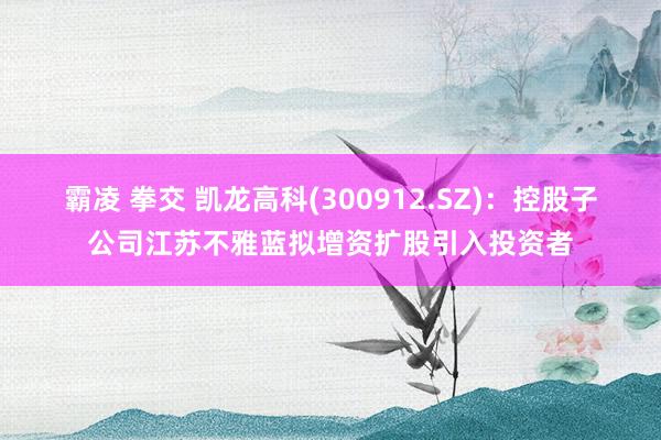 霸凌 拳交 凯龙高科(300912.SZ)：控股子公司江苏不雅蓝拟增资扩股引入投资者
