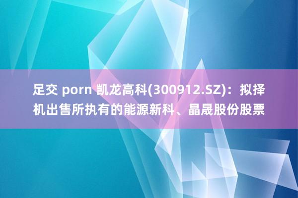 足交 porn 凯龙高科(300912.SZ)：拟择机出售所执有的能源新科、晶晟股份股票