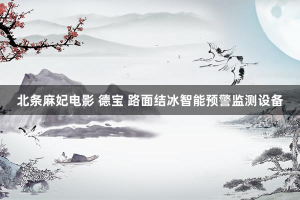 北条麻妃电影 德宝 路面结冰智能预警监测设备