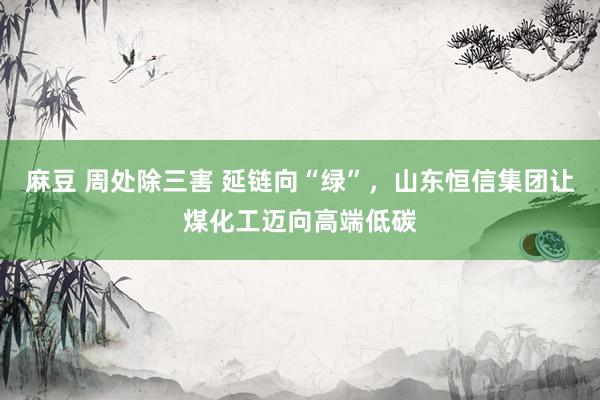麻豆 周处除三害 延链向“绿”，山东恒信集团让煤化工迈向高端低碳