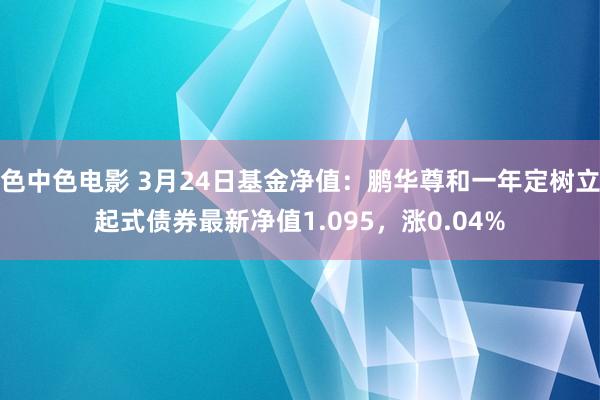 色中色电影 3月24日基金净值：鹏华尊和一年定树立起式债券最新净值1.095，涨0.04%