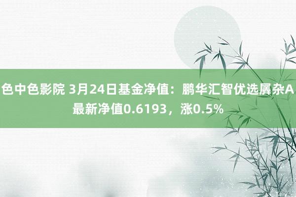 色中色影院 3月24日基金净值：鹏华汇智优选羼杂A最新净值0.6193，涨0.5%