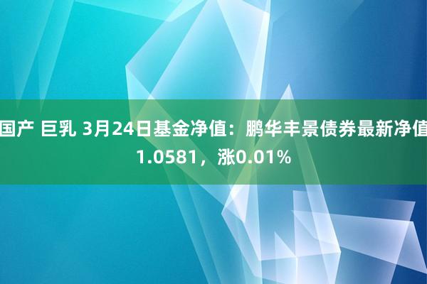 国产 巨乳 3月24日基金净值：鹏华丰景债券最新净值1.0581，涨0.01%
