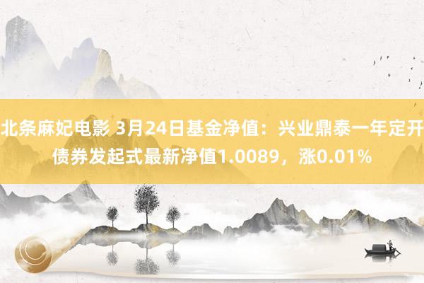 北条麻妃电影 3月24日基金净值：兴业鼎泰一年定开债券发起式最新净值1.0089，涨0.01%