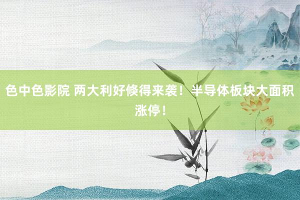 色中色影院 两大利好倏得来袭！半导体板块大面积涨停！