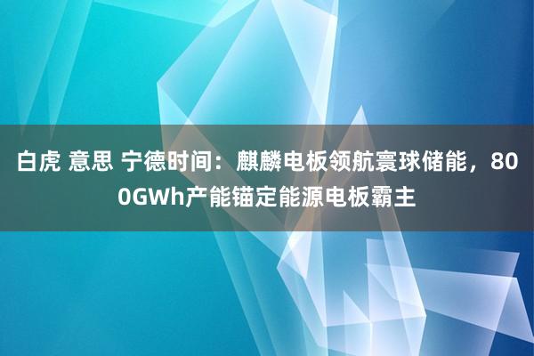 白虎 意思 宁德时间：麒麟电板领航寰球储能，800GWh产能锚定能源电板霸主
